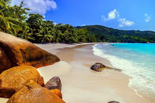 Dive into the Magic of Christmas on Upolu Island, Samoa